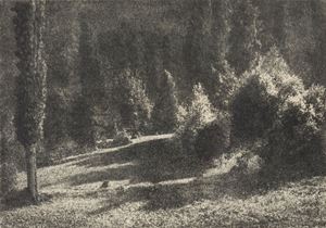 Tra il verde di Près S. Didier