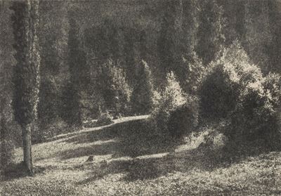 Tra il Verde di Près S. Didier
