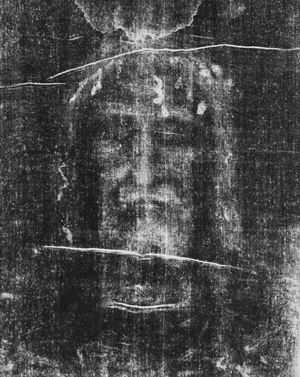 Il sacro volto, particolare della Sacra Sindone