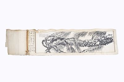 Scroll Raffigurante Albero, Cina Secolo XIX