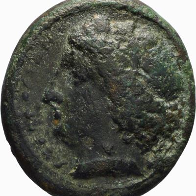 Siracusa, Moneta in bronzo, Emissione: 317-289 a.C.