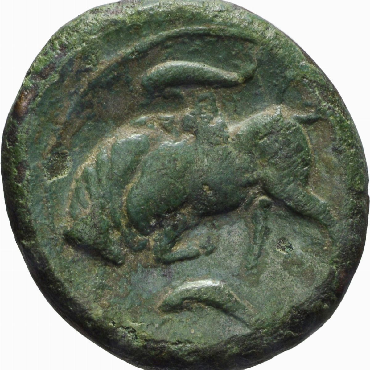 Sicilia, Siracusa - Bronzo emissione 317-289 a.C., Testa di Kore e Toro cozzante