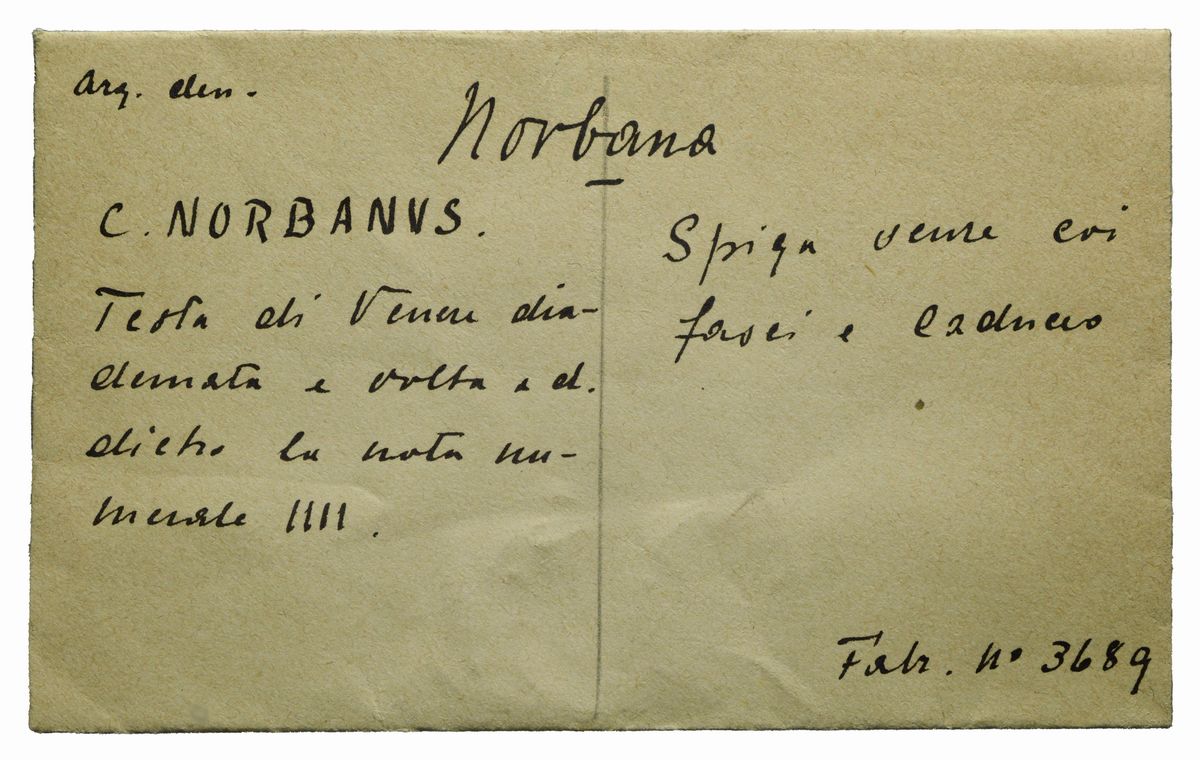 Repubblica Romana - C. Norbanus, Denario, emissione: 83 a.C., argento