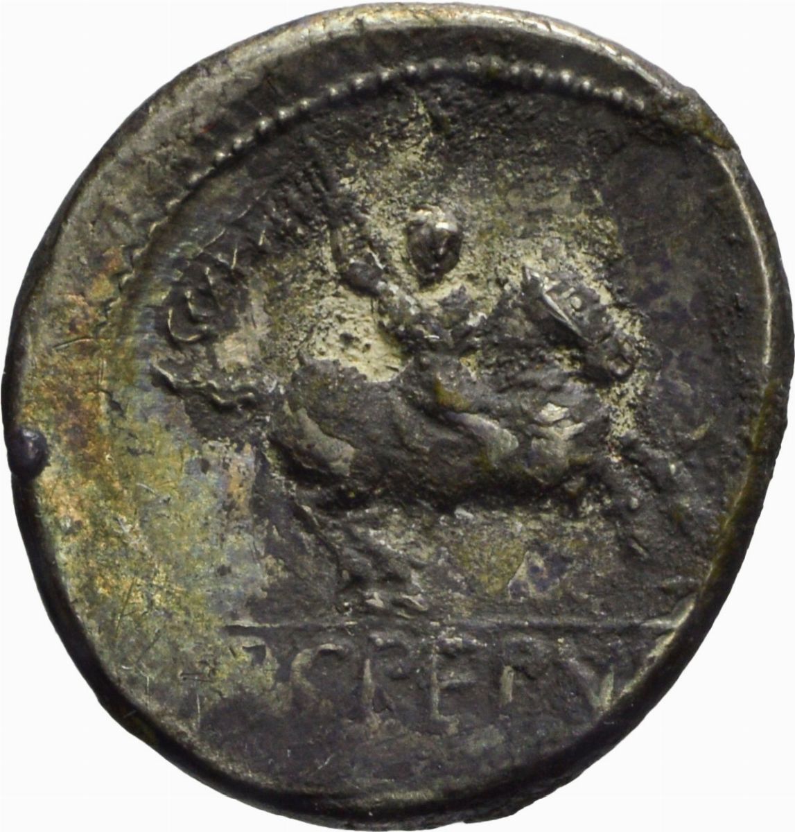 Repubblica Romana - GENS CREPUSIA, Denario, Emissione 82 a.C.