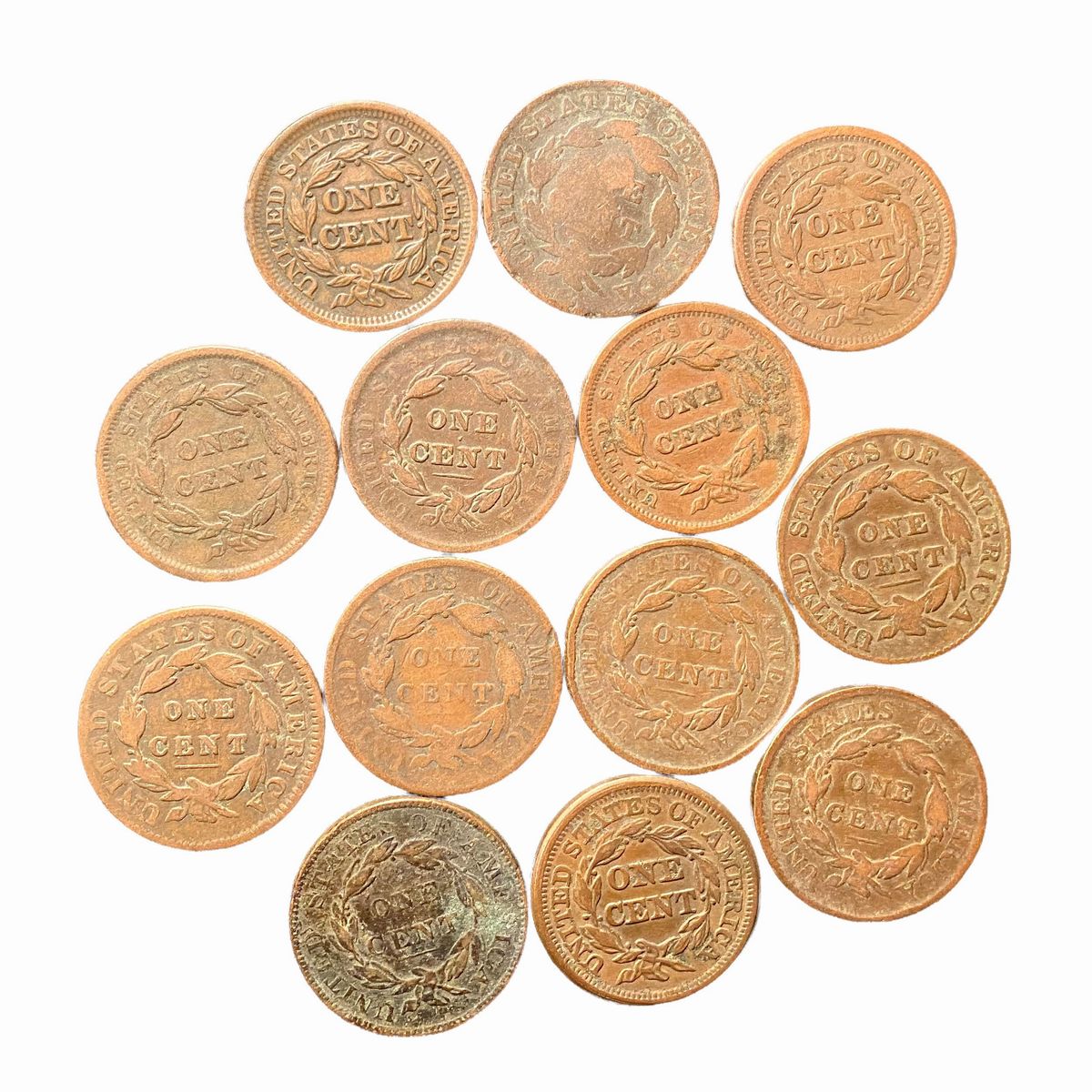 Stati Uniti D'america - Esemplari da One Cent, lotto di 13 unità, epoca ottocentesca