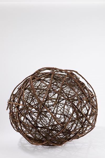 Spora vegetale - rami intrecciati, 1984