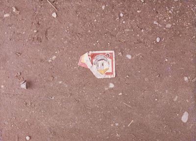 Modena, dalla Serie "kodachrome"