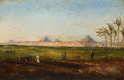 Campi Coltivati Presso le Piramidi