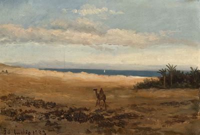 Africa, sul Cammello Presso il Mare