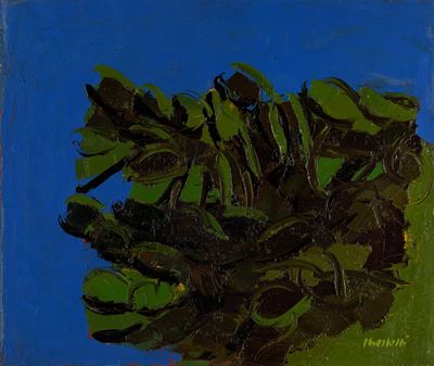 Piccolo cactus, olio su tela, cm 50 x 60, 1971