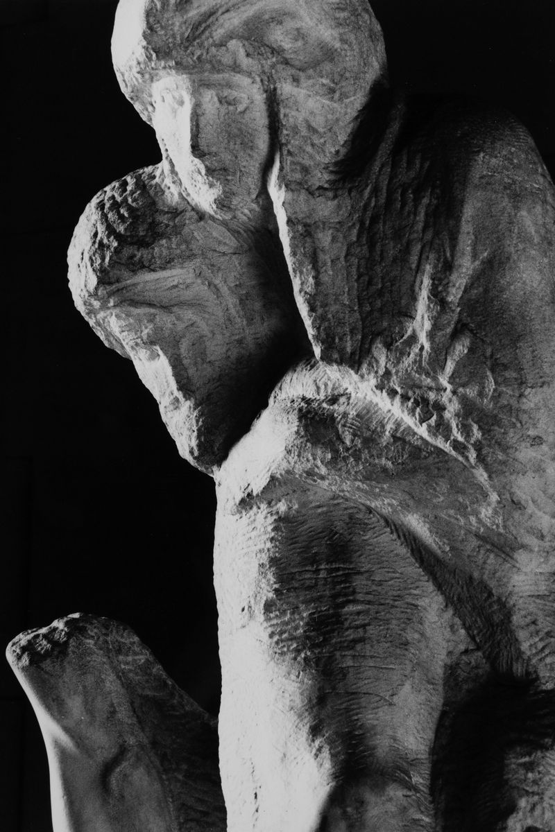 Paolo Monti - Pietà Rondanini