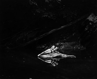 Laura, Northen Virginia - Stampa alla gelatina ai sali d'argento, 2011