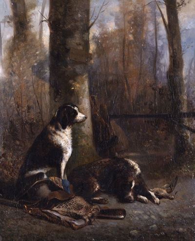 Cani a Riposo Dopo la Caccia