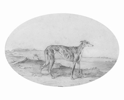 Levriero