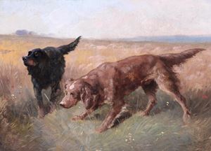 Scuola francese, secolo XIX - Cani da ferma