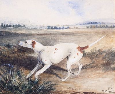 Cane da Ferma