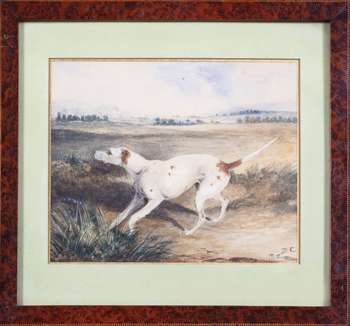 Scuola Francese, Secolo XIX - Cane da Ferma