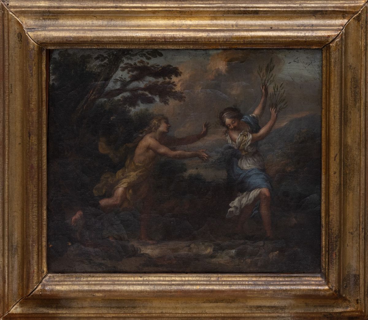 Scuola Romana, Secolo XVII - Ciro Ferri, Apollo e Dafne, olio su tela