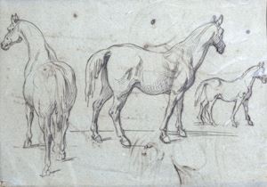 Studies of horses