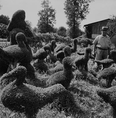 Blaise Cendrars Dans le Jardin