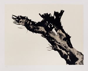 Mattioli Carlo - Branch