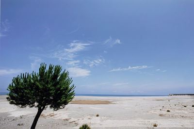 Sicilia, Capo D'orlando