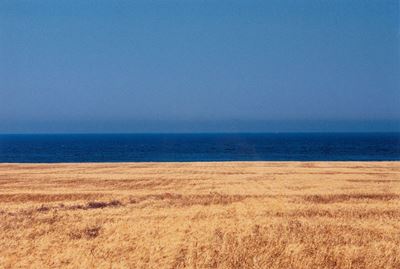 Sicilia