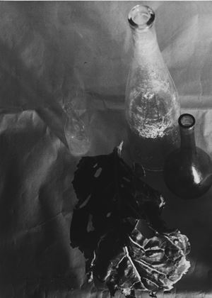 Natura morta con foglia