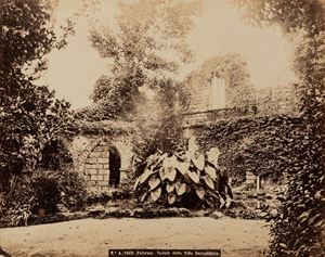 Rive Robert (attr.) - Palermo, veduta della Villa Serradifalco