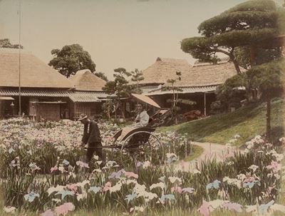 Senza Titolo (tokyo Iris)