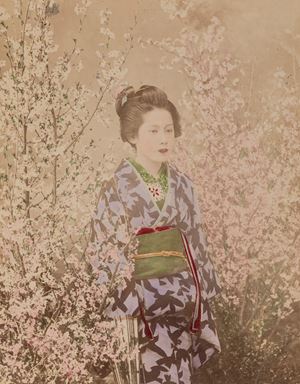Senza titolo (Geisha e fiori di ciliegio)