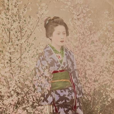 Senza Titolo (geisha e Fiori di Ciliegio)