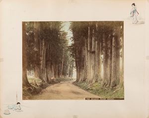 Imaichi road Nikko