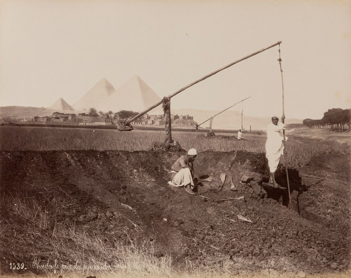 féLIX Bonfils - Parc Aux Autruches De Matareyeh ; Chadoufs Pres Des Pyramides