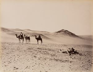 Scéne du desert, abanden d'un chameu mort ; Tropeau du Buffles se baignat dans le Nil