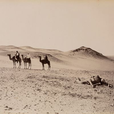Scéne Du Desert, Abanden D'un Chameu Mort ; Tropeau Du Buffles se Baignat Dans le Nil