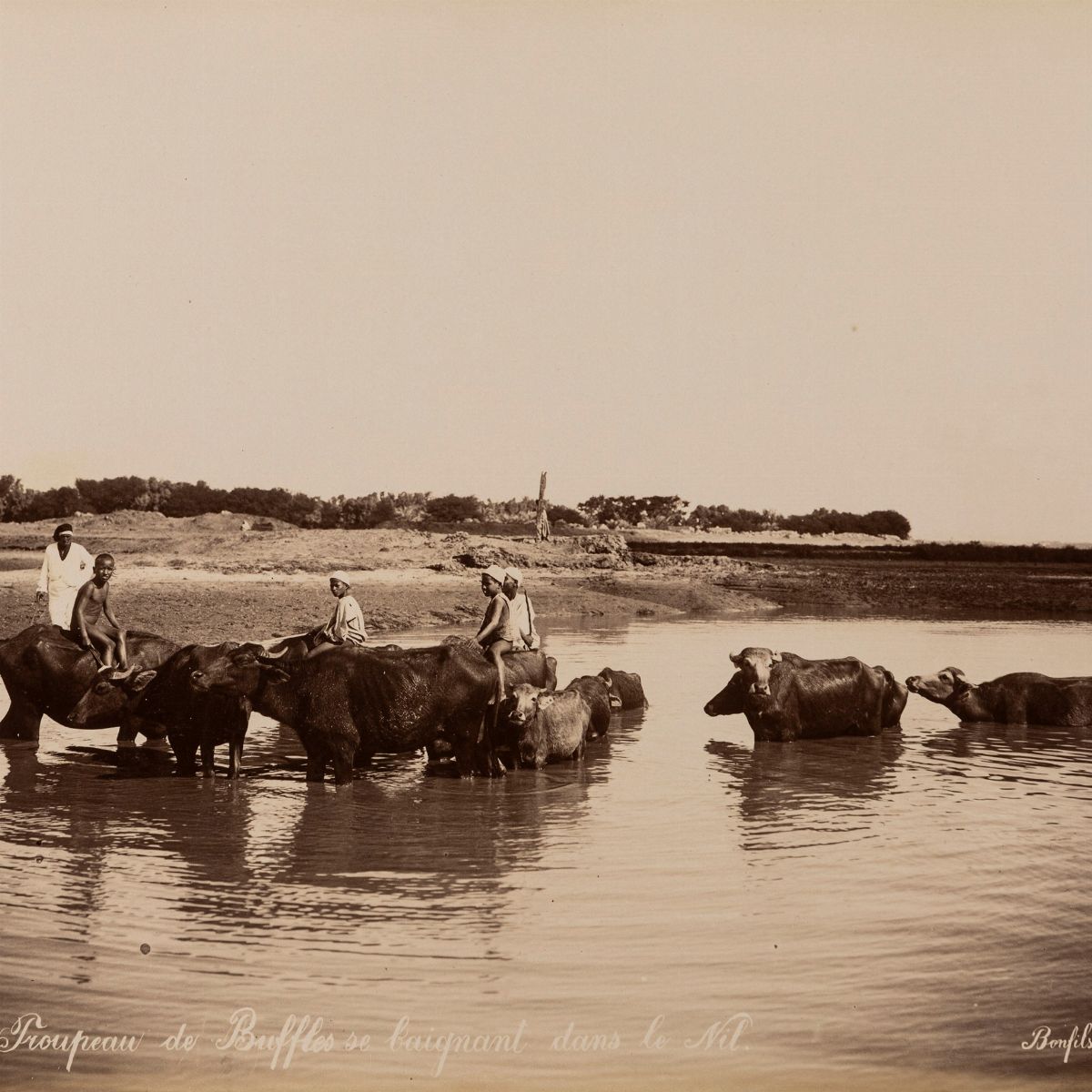 féLIX Bonfils - Scéne Du Desert, Abanden D'un Chameu Mort ; Tropeau Du Buffles se Baignat Dans le...