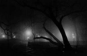 Riverside Park, New York, from the series "Acquainted with the Night"