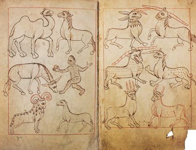 Reiner Musterbuch