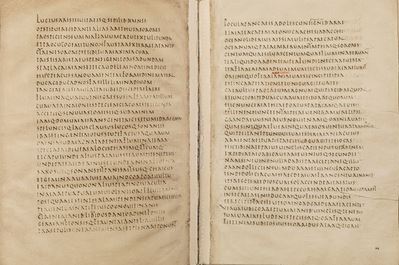 Il Codice Mediceo di Virgilio