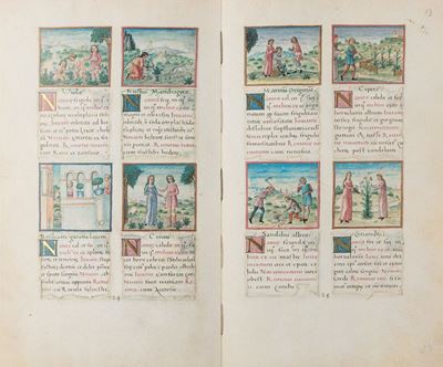 Tacuinum Sanitatis - Codex Vindobonensis 2396