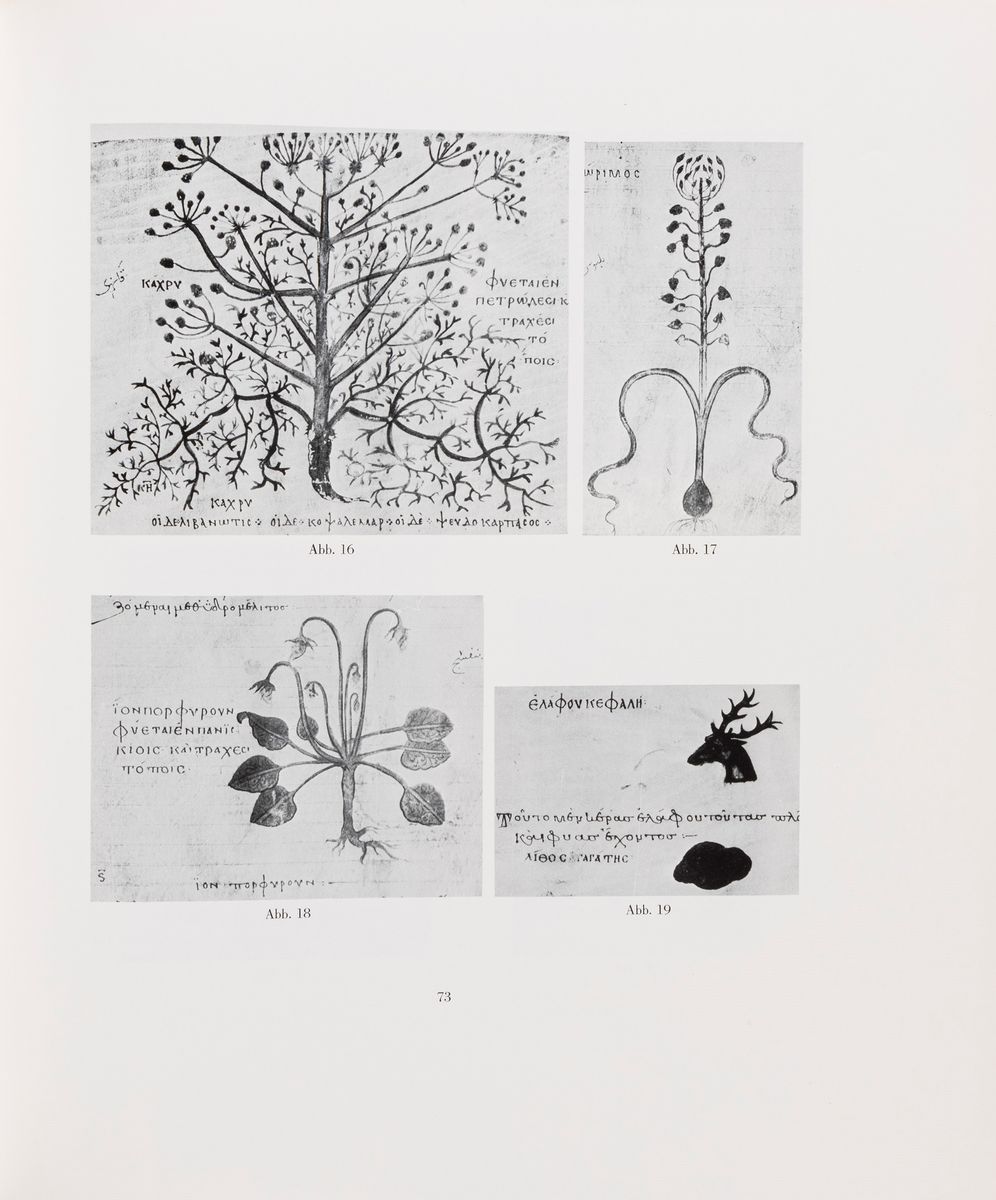 Dioscurides - Codex Vindobonensis Medicus Graecus 1
