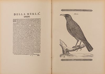 Uccelliera Ovvero Discorso della Natura