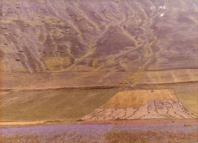 Paesaggio