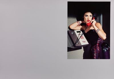 Extravagant, Sophisticated Lady #12, fotolitografia a colori, 2011