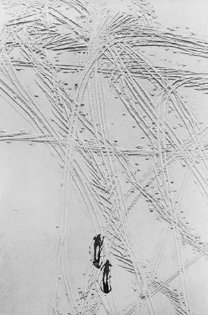 Nella Tormenta, grafismo nevoso