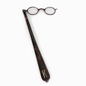 Ochialini in tartarugati 