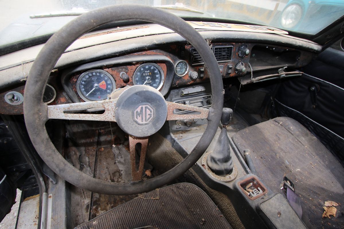B Gt (mg)