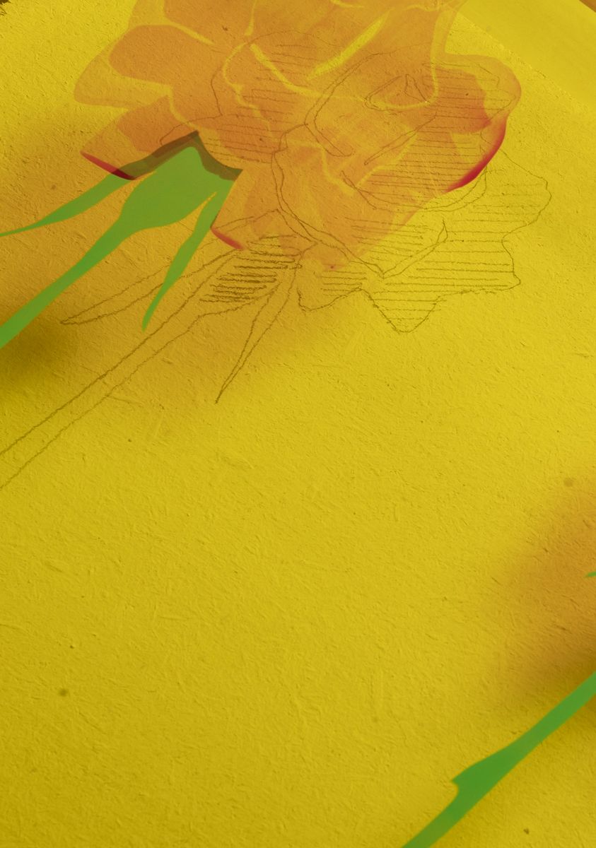 Gino Marotta - Fiori artificiali, inchiostro serigrafico su plexiglass