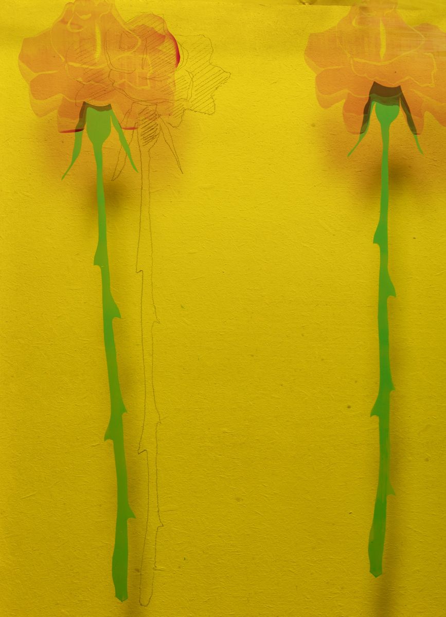 Gino Marotta - Fiori artificiali, inchiostro serigrafico su plexiglass